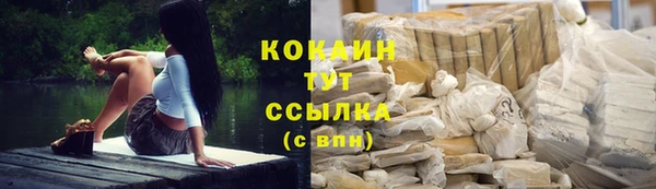 шишки Абинск