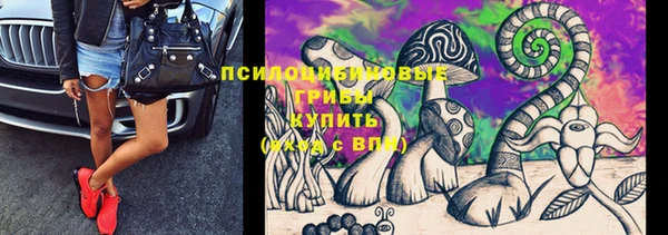 мяу мяу мука Абдулино