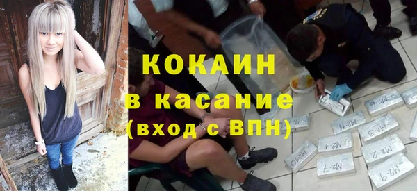 шишки Абинск