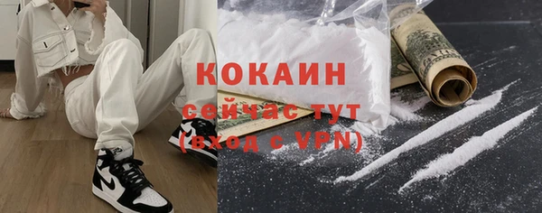 стаф Ростов