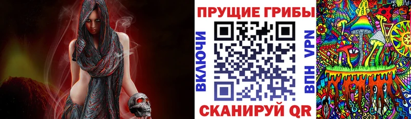Псилоцибиновые грибы GOLDEN TEACHER  цена наркотик  Мурино 