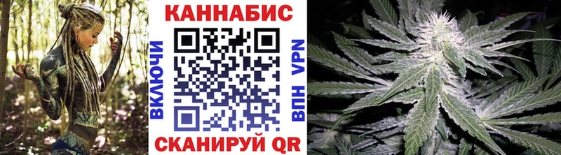 где найти наркотики  Мурино  Канабис марихуана 